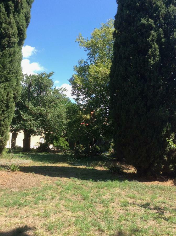 Art Home Bnb Carcassone Exterior photo